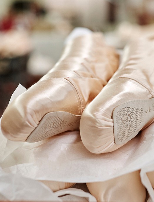 Freed of London Ballet & Pointe Shoes