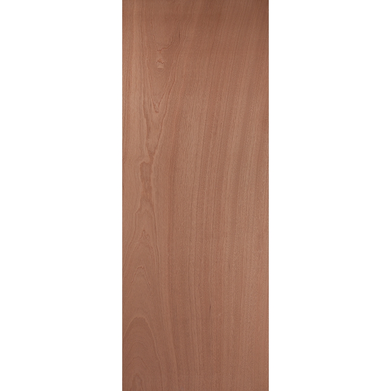 external paint grade timber door